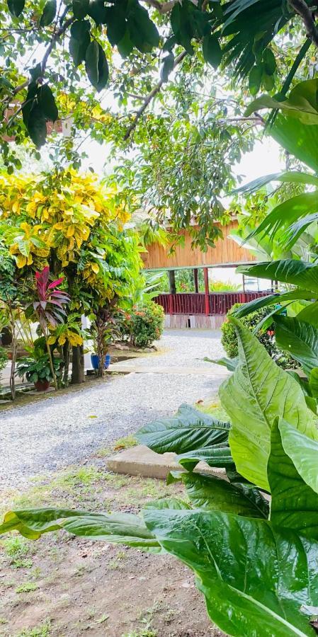 Hospedaje Quepos Eksteriør bilde
